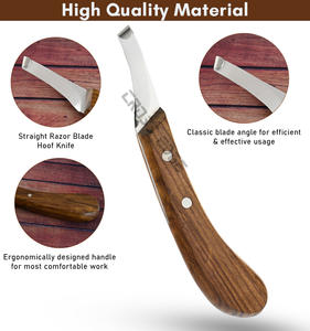 Herramientas de herrador de alta calidad, cuchillo para pezuña, cuchillo de corte de herrador de mano derecha, hoja curva de acero inoxidable, herramientas de aseo para pezuñas de caballos - Product Image 3