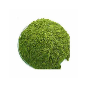 Polvo de hoja de cilantro crudo secado al aire Hojas de cilantro recién procesadas Especias naturales Premium para hierbas culinarias - Product Image 5