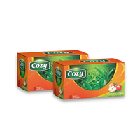 Échantillon gratuit sachets de thé vert pyramide triangle sachets de thé avec certification emballage de boîte de thé apple