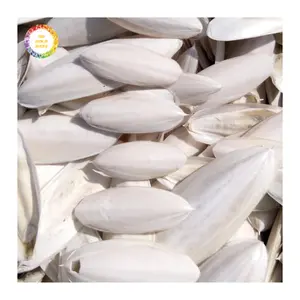 Best Supplier Dried Cuttlefish Bone From Vietnam With High Calcium For Pets