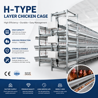 Système de cages en fil métallique galvanisé à chaud pour poulets avec équipement d'alimentation et d'abreuvement pour grandes exploitations avicoles