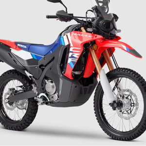 Meilleures motos de rallye CFR300l avec garantie d'usine de 24 mois, motos sans balais - Product Image 1