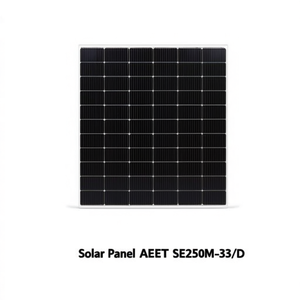 Panel Solar AEET SE250M-33/D - Product Image 2