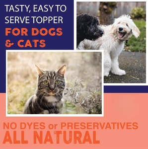 Huile de saumon pour chiens-Oméga 3 naturel pour chiens et chats, soulagement des démangeaisons et des allergies, Support-250ml de la peau et du pelage - Product Image 3