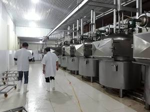 Chips de Jackfruit Croustillantes Faible Humidité Faible Émiettement VF Jackfruit Séché Collation Saine en Petit Sac Vente en Gros Frit sous Vide - Product Image 2