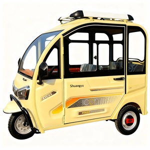 Tricycle électrique Falcon à carrosserie fermée, 3 places, petit véhicule familial pour femmes et enfants, scooter <span class=keywords><strong>de</strong></span> mobilité pour <span class=keywords><strong>personnes</strong></span> âgées - Product Image 5