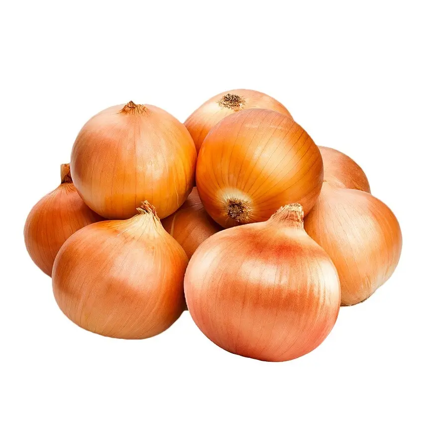 High Quality Fresh Yellowonion Yellow Onion Export Fresh Onion Yellow Onion Small Size Per Ton Price Manufacturer From Germany