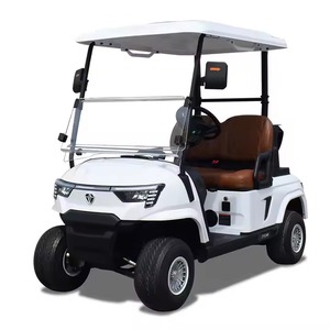 Chariot de golf électrique de haute qualité 2 4 6 8 places 48V 72V Street Legal Petit chariot de golf en gros à vendre - Product Image 2
