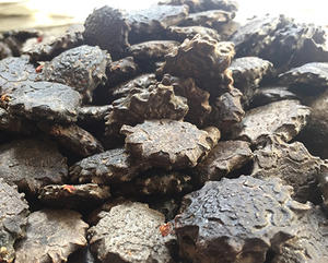 NOIX DE FRUIT GAC NATURELLE/HAUTE QUALITÉ/À BASE DE PLANTES/INGRÉDIENT PROPRE - Product Image 3