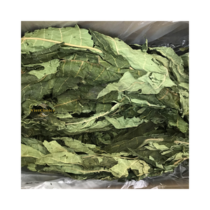 Feuille de papaye séchée naturelle, longue durée de conservation, ingrédient à base de plantes pour usage traditionnel - Product Image 5