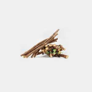 Licorice Root Glycyrrhiza glabra liquorice root