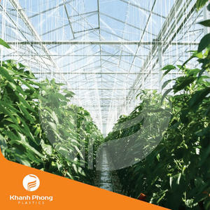 Película Profesional para Invernadero para el Cultivo General de Cultivos con Alto Rendimiento y Beneficios de Ahorro de Costos - Product Image 5