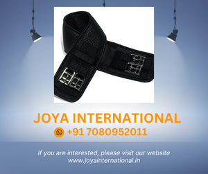 Sangle de dressage Airform OVSELLERIE, Taille: 32 (402014BLK-32) léger éphémère - Product Image 2