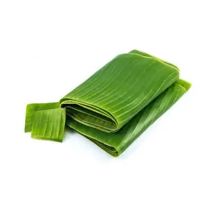 Frozen Banana Leaf High Quality IN VIET NAM - VI HUYNH