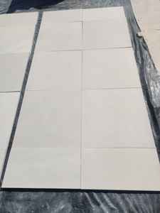 Arenisca blanca de menta Gwalior de 60cm x 60cm y todos los demás tamaños diferentes disponibles Arenisca de superficie pulida para proyectos de hoteles y villas - Product Image 2