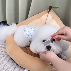 Peigne de toilettage de chien Simple professionnel manche en bois de Rose dents de fer peigne de puces et de perte écologique Durable - Product Image 6