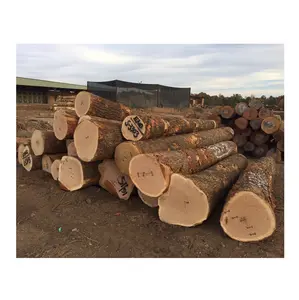 Madera de roble de alta calidad-Madera y troncos para construcción
