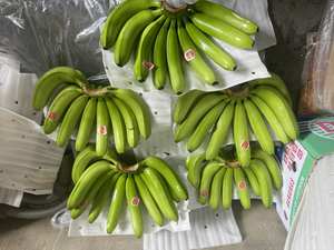 Plátano Fresco de Vietnam, Exportación Premium - Precio Económico - Product Image 5