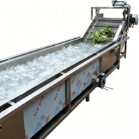 RVS continue belletjeswasmachine met lage schade, geschikt voor delicaat fruit en bladgroenten