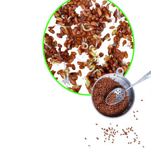 Cress | สมุนไพรครัวสด | สินค้าเกษตรอินทรีย์ - Product Image 1