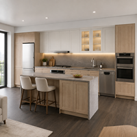 Gabinetes de Cocina Estilo Shaker al por Mayor para Constructores, Contratistas y Proyectos de Viviendas Multifamiliares con Diseños de Gabinetes Personalizados