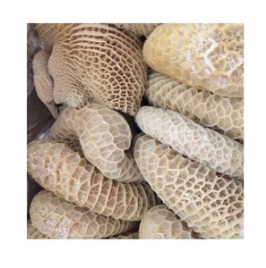 Tripes de bœuf congelées, estomac de vache congelé, produits de bœuf congelés - Product Image 2