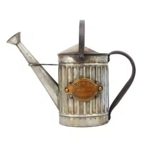 Nouvelle arrivée attrayant Mini bidon d'eau en métal de haute qualité pour la maison outils de jardin arrosoir à prix raisonnable - Product Image 3