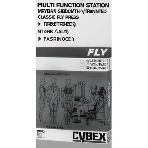 Station multifonction reconditionnée Classic Fly Press pour l'entraînement musculaire, les espaces de fitness intérieurs et les salles d'exercice dédiées - Product Image 3