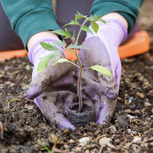 Pellet de turba de Coco de primera calidad, iniciador de semillas ecológico en moneda de disco y Kit hidropónico, herramienta de germinación de semillas - Product Image 6