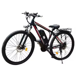 Bicicleta Eléctrica de Alta Gama con Motor de 750W/1000W, 29 x 2, Velocidad Máxima 50 km/h, 90 Nm, Bicicleta Eléctrica de Montaña para Adultos, 48V 13Ah - Product Image 1