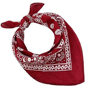 Sciarpa Paisley con Motivo a Fiori di Cashew, Elegante e Versatile, da Annodare alle Borse e Abbinare alle Camicie - Product Image 1