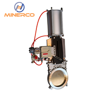 Vanne à opercule MINERCO en acier inoxydable pour boues, commande manuelle, DN50-DN500, avec conception d'étanchéité souple