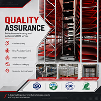 Sistema de Almacenamiento Automatizado de Contenedores de Alta Densidad CTU, Sistema de Recolección Inteligente para Almacenes, Proveedor OEM Personalizado de Fábrica