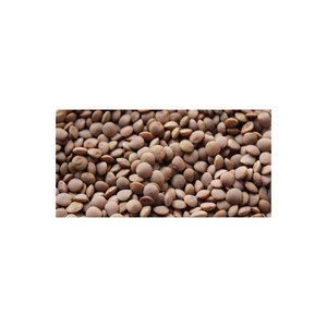 Semillas de lentejas en grandes cantidades disponibles a precios reducidos para la industria alimentaria y agrícola - Product Image 2