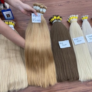 COLOR BULK HAIR Couleur très tendance pour l'été 2025 Cheveux vierges vietnamiens teints 100g par paquet Qualité supérieure - Product Image 1