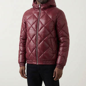 Chaqueta Acolchada con Capucha Brillante para Hombre, Ligera, Impermeable, de Plumón de Ganso, Abrigo de Invierno, Fábrica Personalizada OEM/ODM - Product Image 1