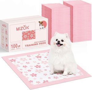 Wholesale Pet Cleaning Cheap Price Deodorizing Absorbent Dog Pet Puppy <b>Pee</b> Training <b>Pad</b> - Product Image 1