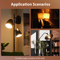 Ampoule LED A15 en gros, 2W, 250LM, CRI90, 120V, verre transparent, lampes à filament LED, E12 E26, utilisation pour la maison, l'hôtel, convient aux luminaires