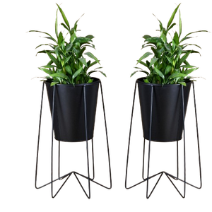 ขาตั้งกระถางโลหะพร้อมกระถางปลูกต้นไม้แบบถัง |   ชุด 2 ชิ้น |   สีดำ - Product Image 1