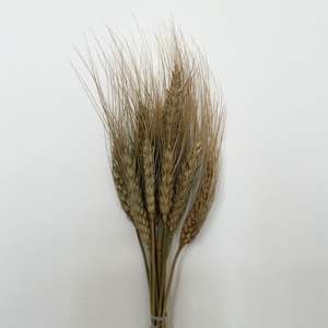 ดอกข้าวแห้ง - Product Image 1