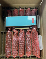 Nouvelle Carte Accélérateur d'Inférence IA Tesla L4 24 Go PCIe 5.0 X16 384 bits GPU 75W Refroidie par Ventilateur en Gros