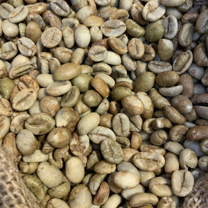 Granos de café verde Robusta orgánico S18 de alto grado de Vietnam Proceso de limpieza sin tostar Entrega rápida Soporte de etiqueta privada OEM - Product Image 3