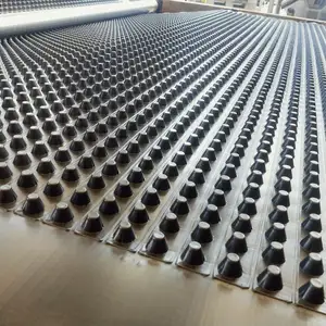 HDPE Black And White Drainage Cell Mat Board For Other Earthwork Product