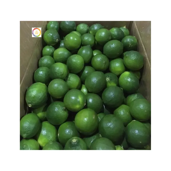 Limones sin costuras de calidad superior, limones 100% orgánicos, fruta fresca de Vietnam, venta al por mayor