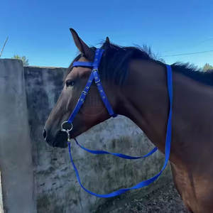 Prix raisonnable Brides d'équitation Usine Directement Vente en gros Brides d'équitation En Stock - Product Image 3