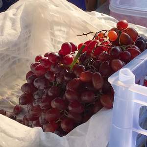 Suministro fresco de uvas rojas sin semillas orgánicas para supermercados y distribuidores - Product Image 2