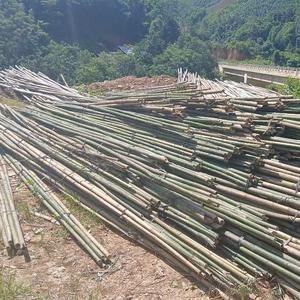 BAMBOO, producto agrícola vietnamita de bambú, arquitectura de paisaje natural al aire libre ecológica - Product Image 2