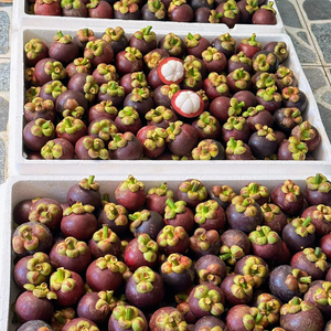 VENTE EN GROS MANGOSTEEN CONGELÉ VIETNAMIEN/CHOIX CHAUD POUR L'ASIE, L'EUROPE ET LES ÉTATS-UNIS 2025 - Product Image 1