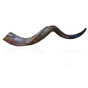Corne de Shofar artisanale naturelle de haute qualité en gros corne de bélier de Humran Export - Product Image 6