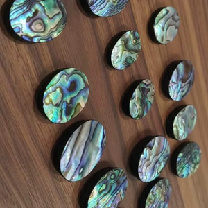 เปลือกหอยเป๋าฮื้อธรรมชาติทรงหลังเบี้ยขัดเงา สำหรับทำเครื่องประดับ รูปทรงคละแบบ สำหรับบำบัดรักษา  ลดราคาพิเศษ - Product Image 4